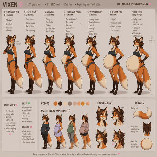 A lanky pregnant female anthropomorphic vixen, reference sheet, shows her progress from just finding out she’s pregnant to when she has a belly the size of a exercise ball, animated version 