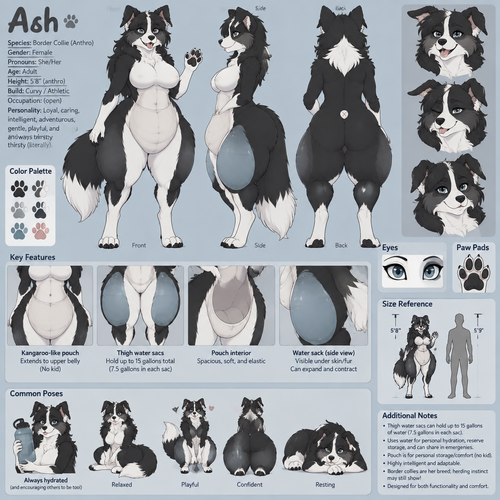 A curvy female anthropomorphic border collie named Ash that has a pouch like a kangaroo that goes to her upper belly and water sacs in her thighs, her thigh sacs can hold up to 15 gallons of water( 7.5 in each sac ), doesn’t have a kid, animated version, reference sheet 