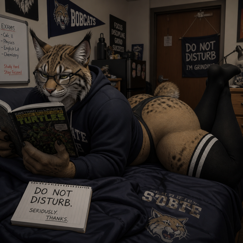 A well-made male character, a Bob Cat. Wears glasses. Has thigh highs. Reading a comic book. In a dorm room at college. Big butt. Don’t want to be disturbed.