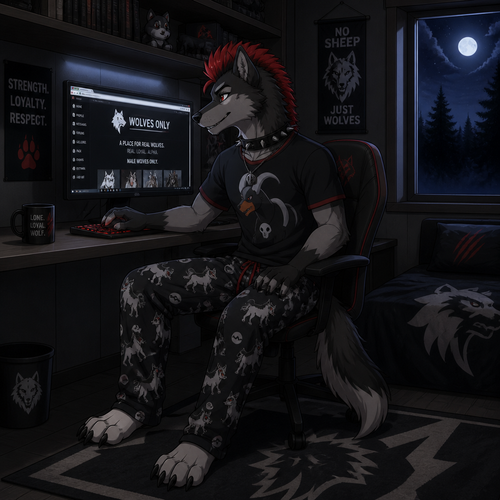 A young male dire wolf wearing mightyena theme pajama pants and houndoom theme shirt, has a red mohawk hairstyle. Sitting at a computer desk browsing a male wolves only website. Next to the desk built into the wall is a window showing its nighttime outside. Anime art style. Full Body