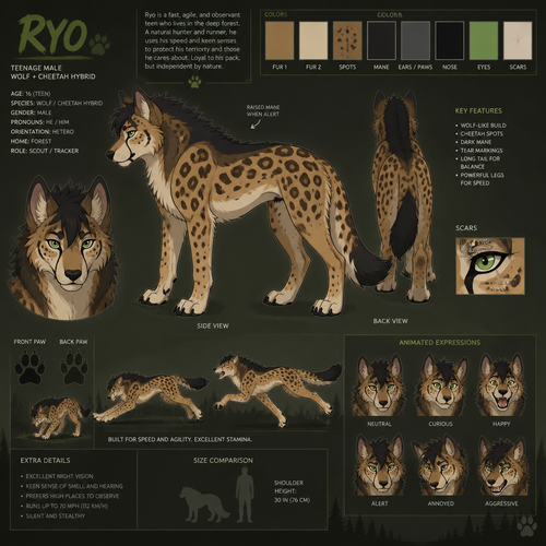 A teenage male quadruped wolf cheetah hybrid that lives in the forest, reference sheet, animated version 